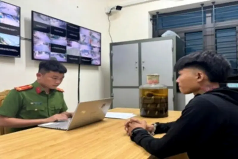Bắt nam thanh niên vận chuyển bình rượu ngâm rắn hổ mang chúa trái phép