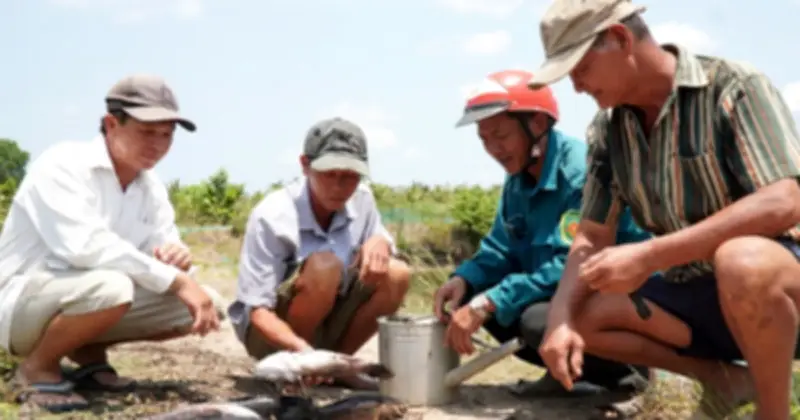 Cà Mau: Khoảng cách lớn trong hỗ trợ thiệt hại cá chết do nước mặn
