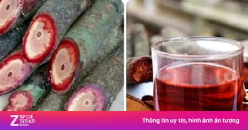 Cỏ máu: cây thuốc quý dễ tìm giúp bổ máu, dưỡng gan hiệu quả