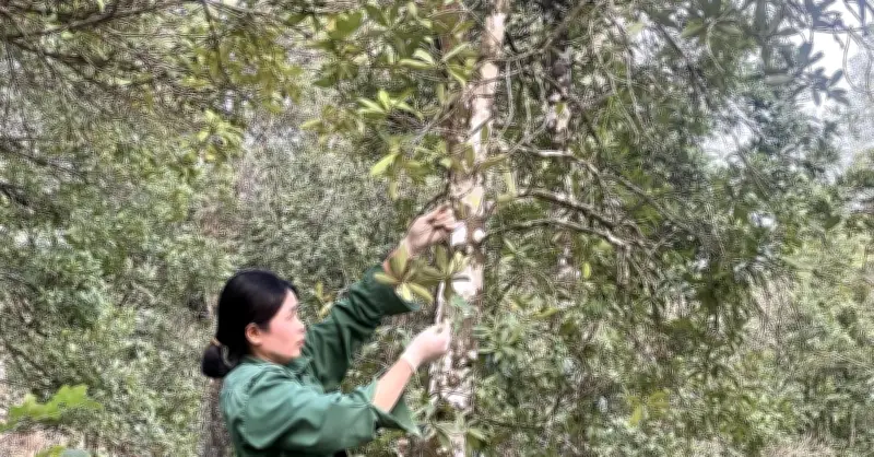 Cao Bằng đẩy mạnh tuyên truyền sâu rộng xóa vùng lõm thông tin lâm nghiệp