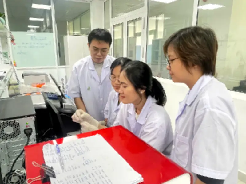 Cao chiết nghệ trắng ức chế tế bào ung thư dạ dày qua cơ chế phân tử