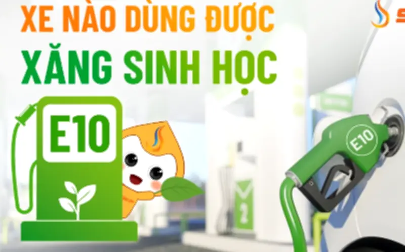 Các hãng xe công bố danh sách mẫu xe tương thích với xăng E10