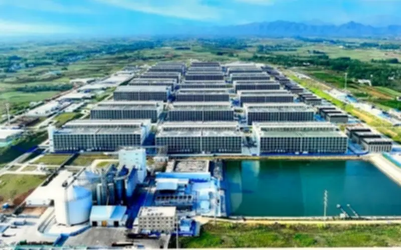 Chăn nuôi lợn nhà cao tầng công nghệ cao tại Hà Nội: Kỳ vọng phát triển kinh tế, trăn trở bài toán kiểm soát mùi