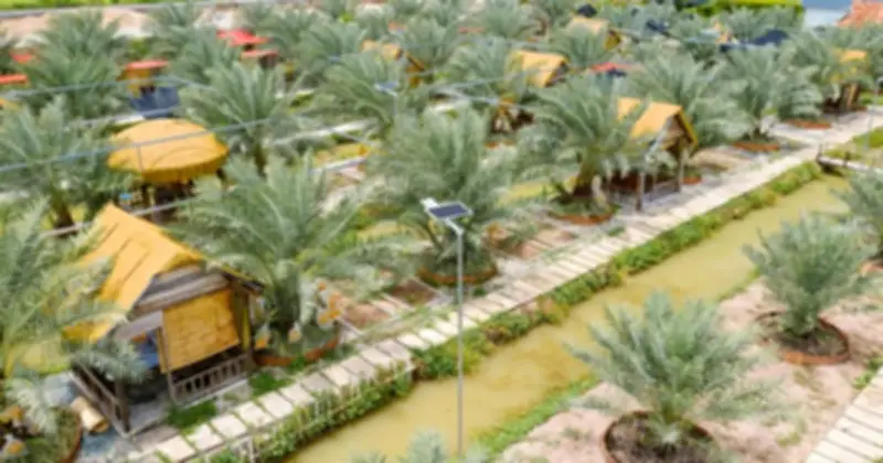 Chàng trai miền Tây biến vườn chà là vùng biên thành điểm du lịch hấp dẫn