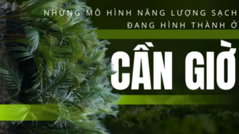 Chuyển đổi xanh ở Cần Giờ: Từ ao tôm đến đô thị năng lượng sạch