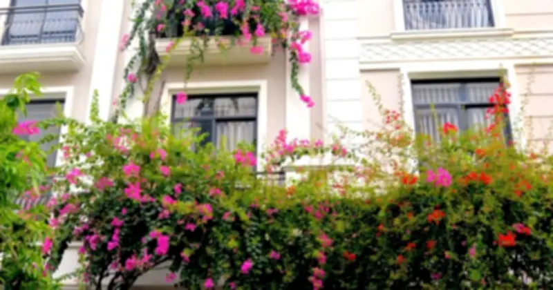Chuyện tình ngọt ngào đằng sau giàn hoa giấy phủ 5 tầng ở 'phố nhà giàu' TP.HCM