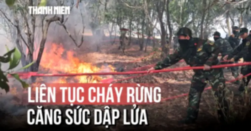 Cháy rừng liên tục ở Quảng Trị: Bộ đội, công an căng sức dập lửa