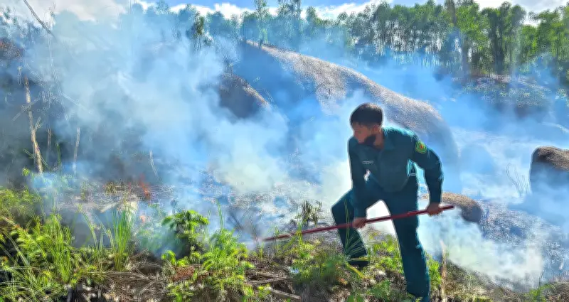 Cháy rừng ở Đà Nẵng, một người tử vong do ngạt khói