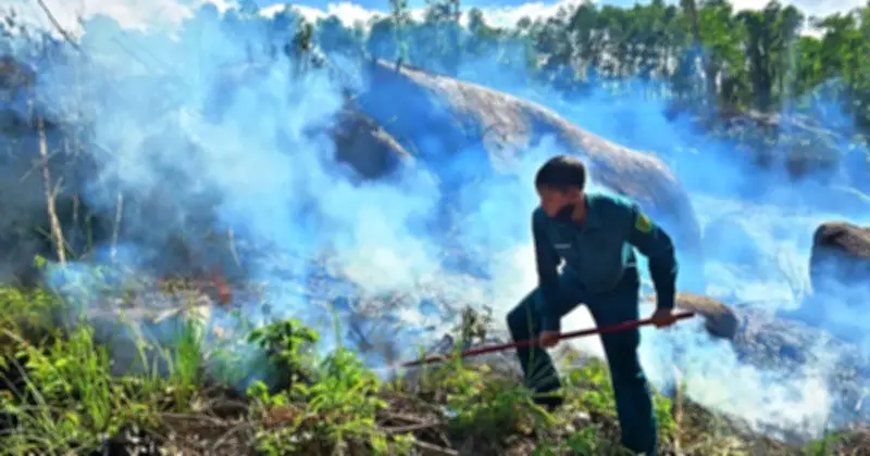 Cháy rừng ở Đà Nẵng: Phát hiện người đàn ông 70 tuổi tử vong tại rẫy keo