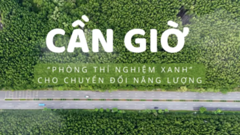 Cần Giờ: Phòng thí nghiệm xanh cho chuyển đổi năng lượng