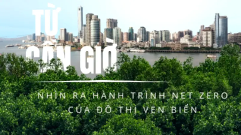Cần Giờ tiên phong Net Zero: Bài học cho đô thị ven biển