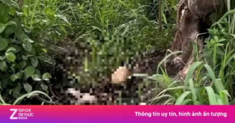 Công an TP.HCM kêu gọi cung cấp thông tin vụ bộ xương người trong khu đô thị ĐHQG