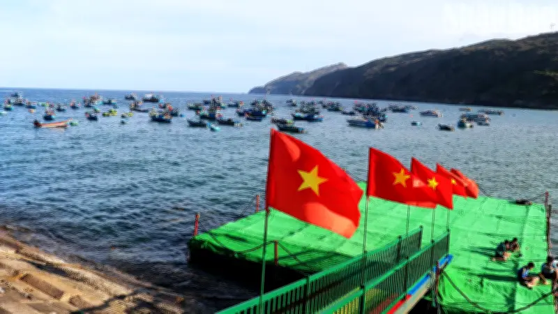 Cảng cá Nhơn Lý: Điểm đến du lịch văn hóa biển hấp dẫn tại Gia Lai