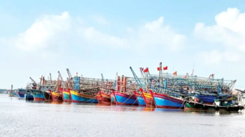 Cảng Cửa Việt bị bồi lấp nghiêm trọng, tàu thuyền ra vào khó khăn