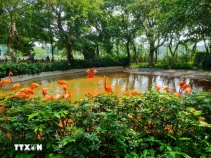 Công viên đất ngập nước Tịnh Hồ: Trung tâm bảo tồn chim quý hiếm ở Trung Quốc
