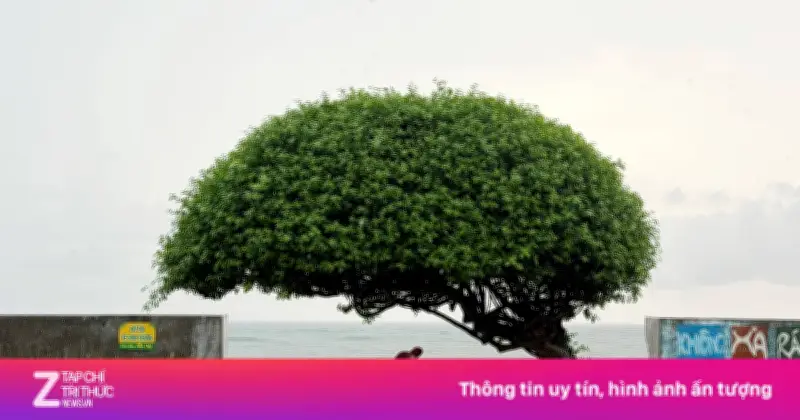 Cảnh báo du khách đi Phú Quý đầu tháng 7: gió mạnh, sóng cao
