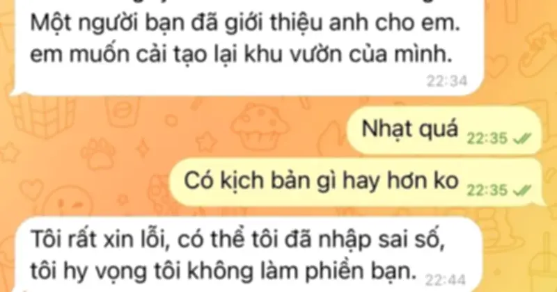 Cảnh báo: Trêu lại tin nhắn lừa đảo tưởng vui nhưng hậu quả khôn lường