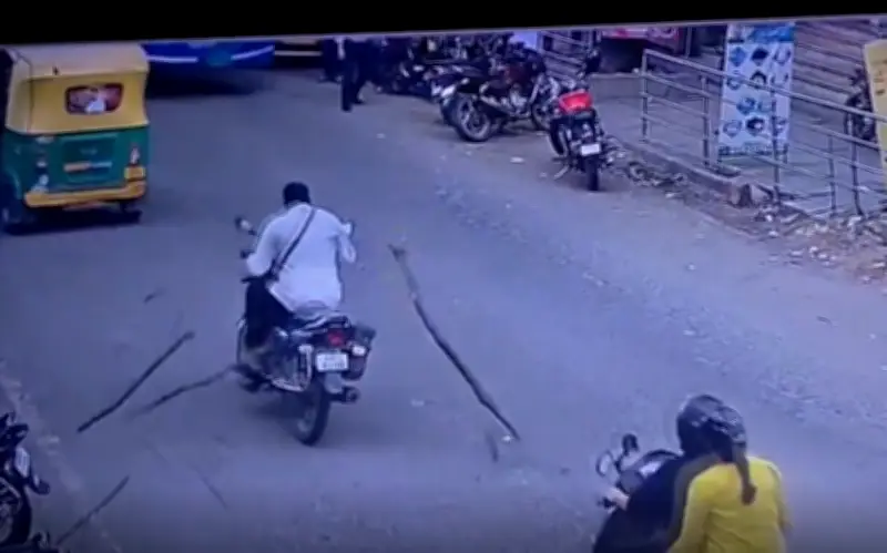 Cành cây khô rơi trúng đầu, nam nhân viên 53 tuổi nguy kịch ở Bengaluru