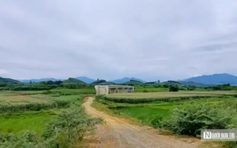 Cầu Mô Vĩnh 80 tỷ đồng bỏ hoang vì vướng giải phóng mặt bằng