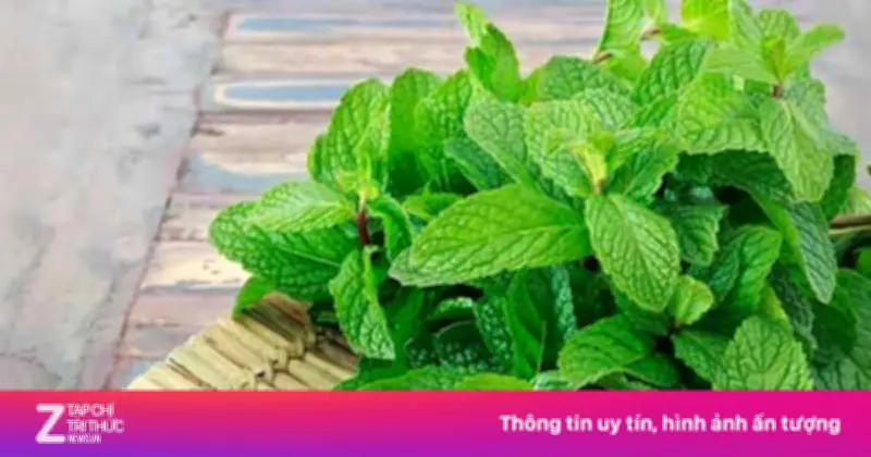 Cây thuốc đa năng: Ăn vào cay tê, the mát, giá rẻ bèo lại bổ dưỡng