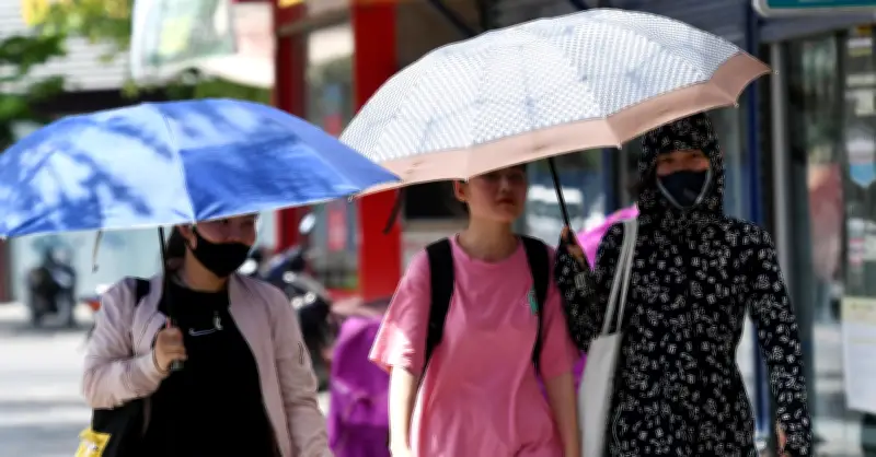 Dự báo thời tiết 19/6/2026: Miền Bắc mưa to vùng núi, Hà Nội nắng nóng 36 độ