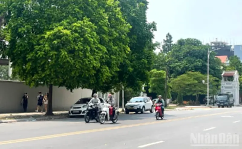 Dự báo thời tiết 3/6: Hà Nội nắng nóng gay gắt 37 độ, TP.HCM mưa to