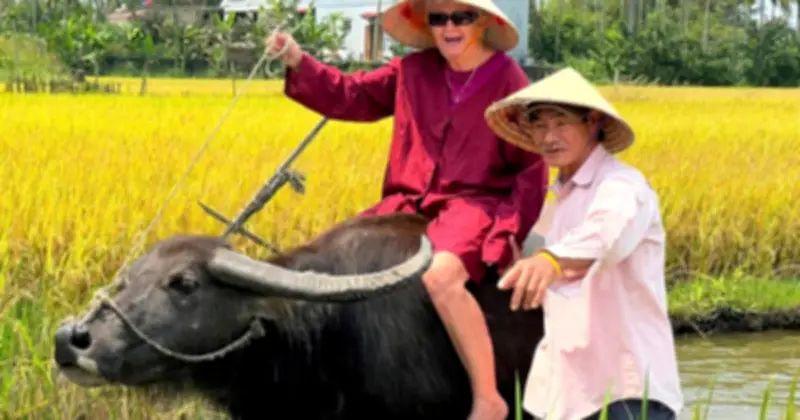 Du khách quốc tế mê trải nghiệm cưỡi trâu, gánh nước tưới rau ở Hội An