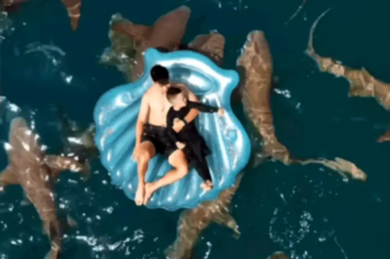 Duy Mạnh đưa vợ con đi Maldives ngắm cá mập, Văn Hậu xem BTS