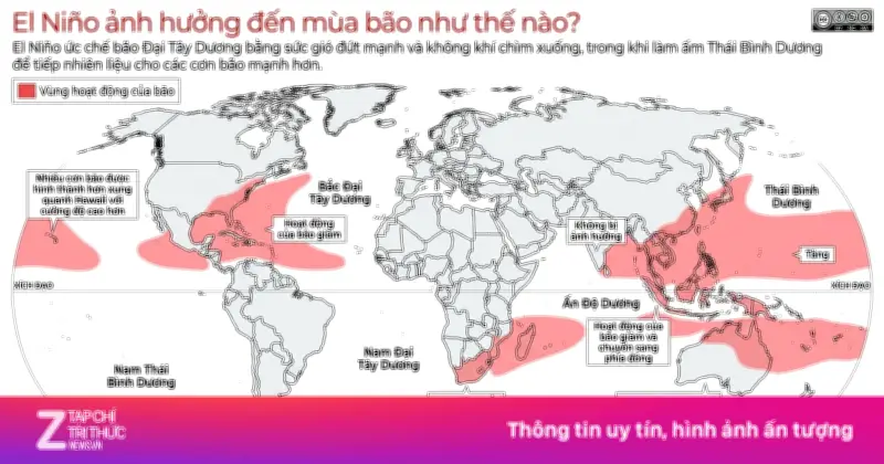 El Nino định hình mùa bão toàn cầu 2026: Nơi giảm, nơi tăng