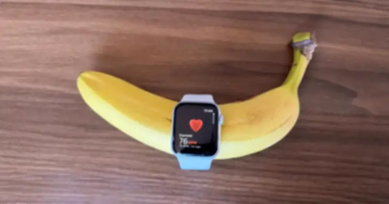 Đeo smartwatch cho trái cây bất ngờ phát hiện 'nhịp tim' - Giải thích khoa học
