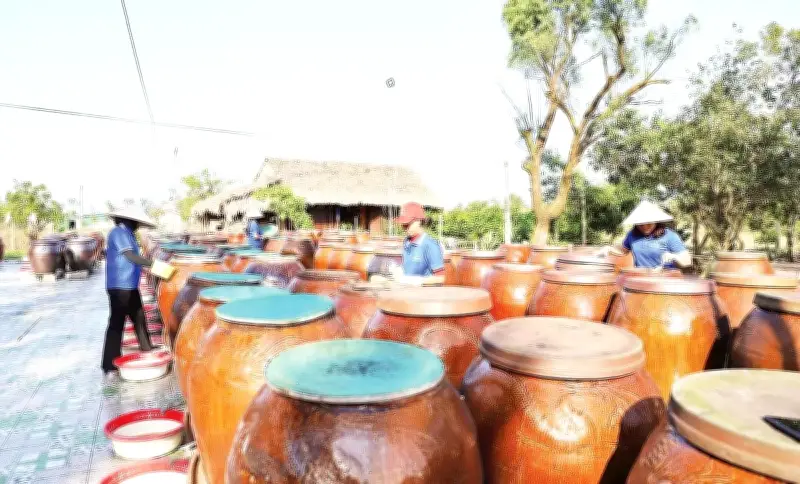 Gỡ rào cản đất đai, vốn để thúc đẩy kinh tế tập thể Hà Tĩnh phát triển