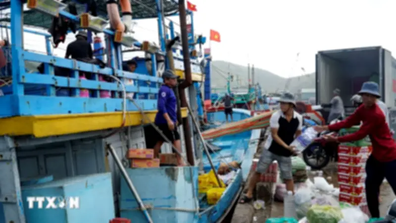Giá dầu hạ nhiệt, ngư dân Gia Lai tái khởi động mùa biển mới
