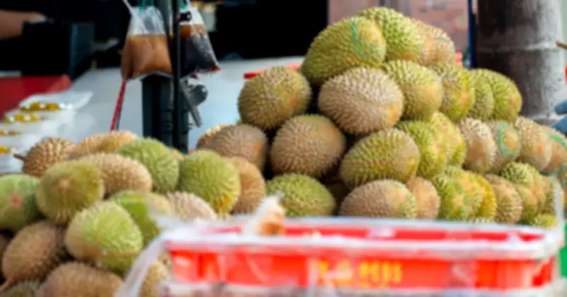 Giá sầu riêng Malaysia giảm tới 70%, nguyên nhân từ đâu?