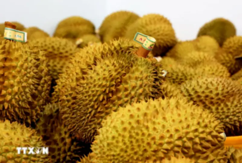 Giá sầu riêng Musang King tại Malaysia giảm tới 90% do dư thừa nguồn cung