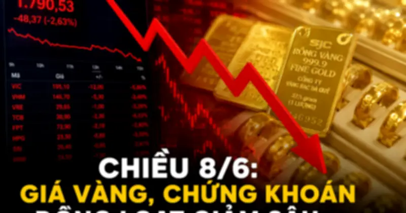 Giá vàng, chứng khoán đồng loạt giảm sâu chiều 8/6, VN-Index mất 48 điểm