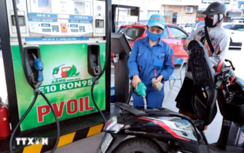 Giá xăng dầu hôm nay 11/6: Dầu diesel giảm gần 1.000 đồng/lít
