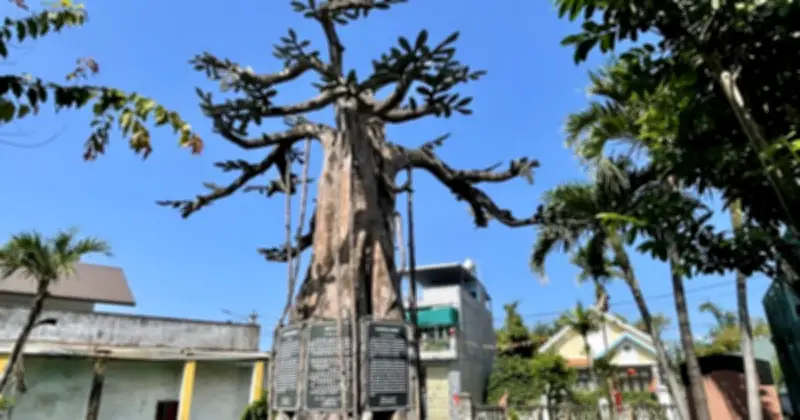 Gia Lai chi 23,9 tỉ đồng tu bổ di tích Nước Mặn - cái nôi chữ Quốc ngữ