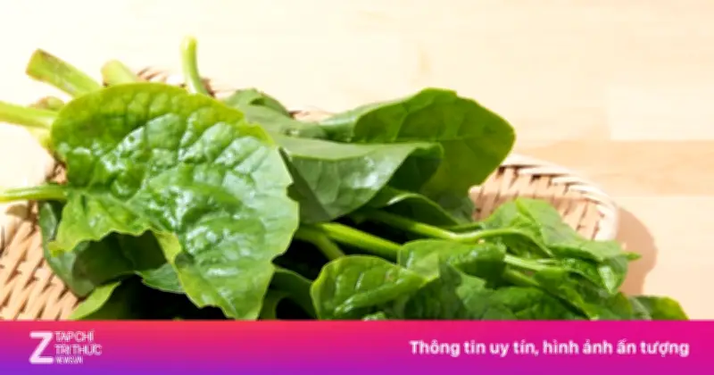 Giải mã thành ngữ 'nghèo rớt mồng tơi' theo học giả An Chi