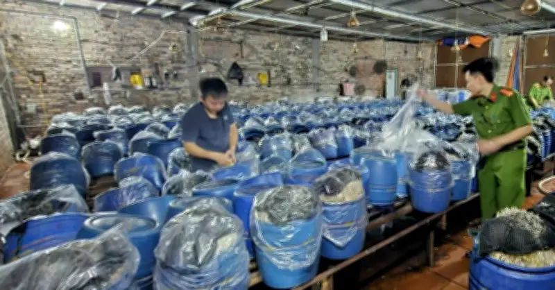 Gần 1.000 tấn giá đỗ ngâm nước kèo hóa chất: 6 bắp nguy hại ra sao?