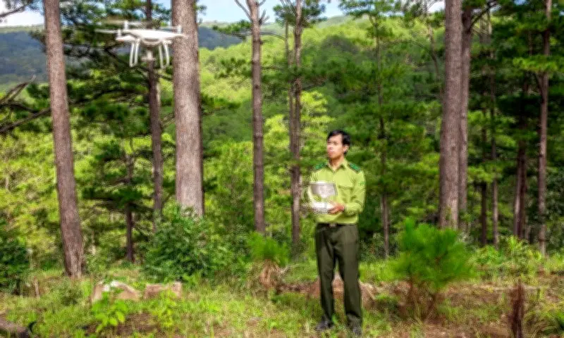 Gần 21% diện tích rừng do xã quản lý: Thể chế và chất lượng thấp tạo vòng xoáy suy thoái