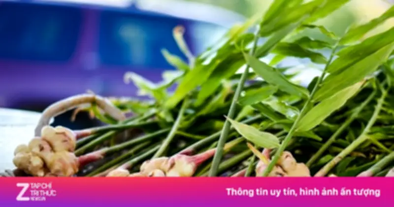 Gừng: 'Nhân sâm bình dân' với nhiều lợi ích sức khỏe bất ngờ