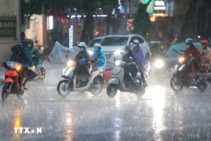 Hà Nội đón mưa vàng giải nhiệt sau chuỗi ngày nắng nóng