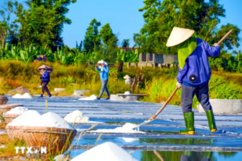 Hà Tĩnh: Những người giữ vị mặn trên cánh đồng muối Châu Hạ