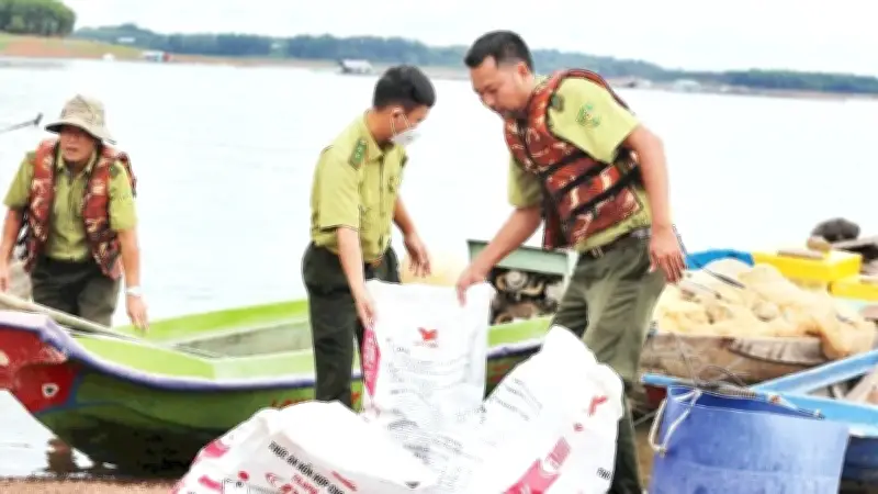 Hồ Trị An: Hơn 254 tấn cá chết, người nuôi trắng tay