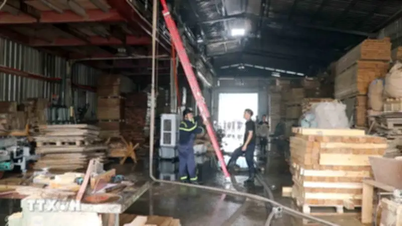 Hải Phòng: Kịp thời dập tắt đám cháy tại xưởng sản xuất pallet gỗ 400m2