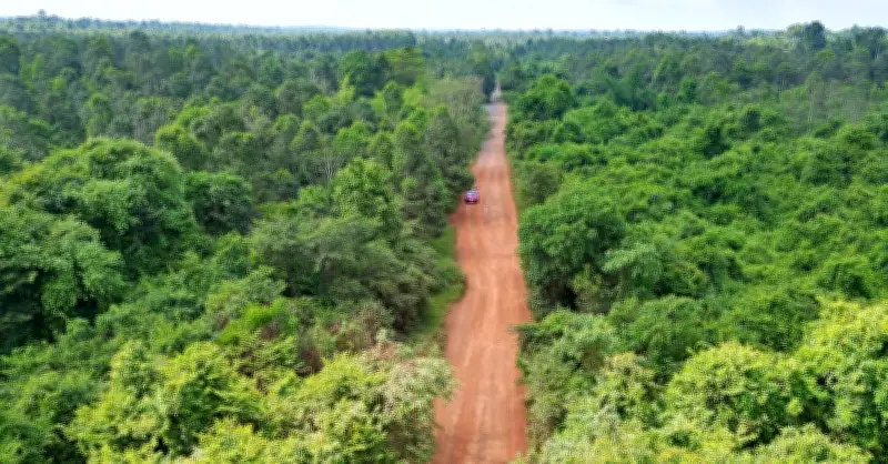 Hiện trạng tuyến đường xuyên rừng trước khi khởi công 13km cầu cạn trên cao