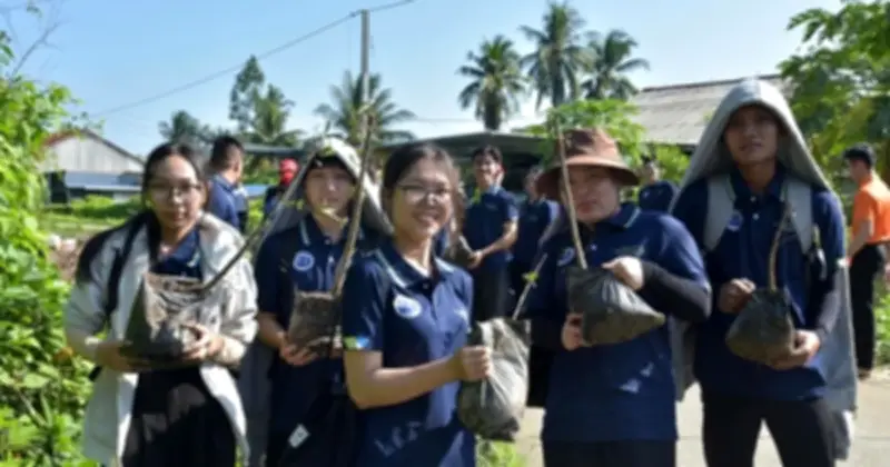 Hơn 1.000 cây bần trồng chống sạt lở tại Vĩnh Long