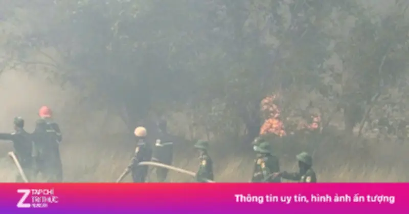 Hàng trăm người căng mình dập lửa cháy rừng liên tiếp ở Quảng Trị