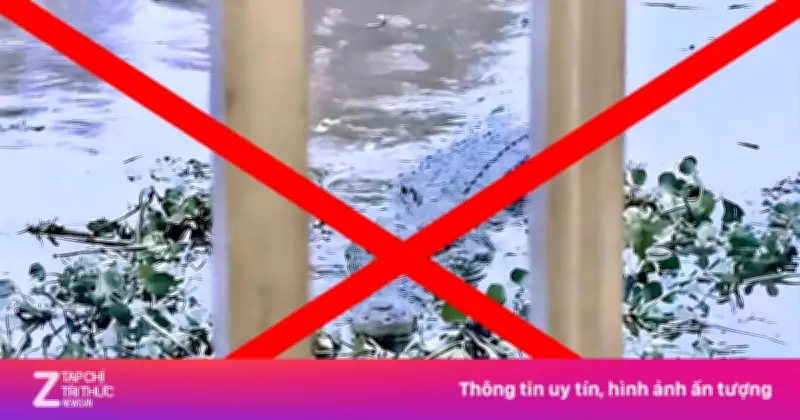Hình ảnh cá sấu 80kg ở An Giang là sản phẩm AI do thiếu niên tạo ra