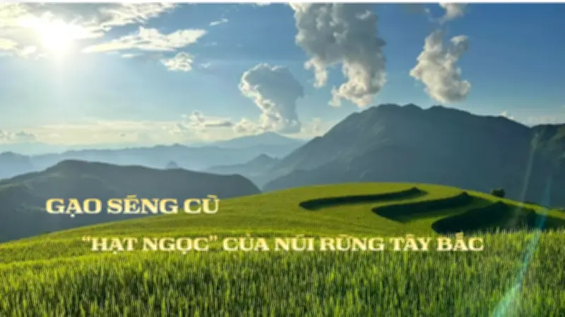 Hành trình gìn giữ hạt ngọc Séng Cù trên vùng cao Than Uyên